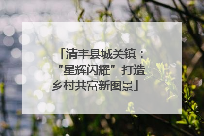 清丰县城关镇：“星辉闪耀”打造乡村共富新图景