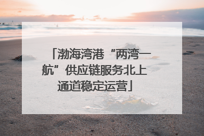 渤海湾港“两湾一航”供应链服务北上通道稳定运营