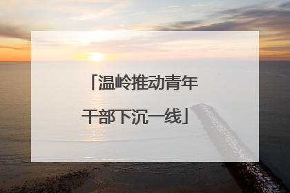 温岭推动青年干部下沉一线