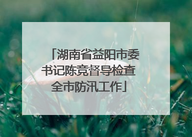 湖南省益阳市委书记陈竞督导检查全市防汛工作