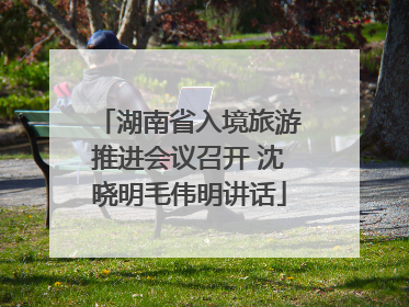 湖南省入境旅游推进会议召开 沈晓明毛伟明讲话