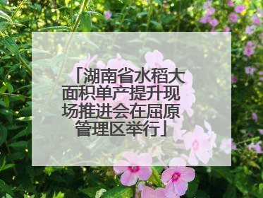 湖南省水稻大面积单产提升现场推进会在屈原管理区举行