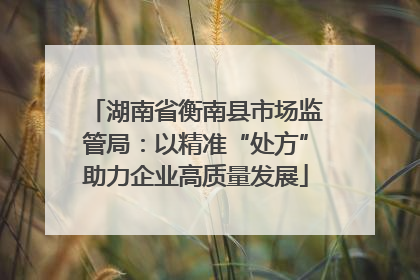 湖南省衡南县市场监管局：以精准“处方”助力企业高质量发展