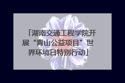 湖南交通工程学院开展“青山公益项目”世界环境日特别行动