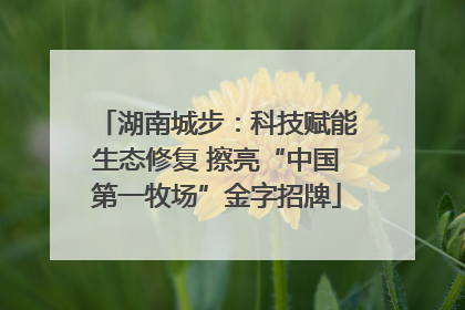 湖南城步：科技赋能生态修复 擦亮“中国第一牧场”金字招牌