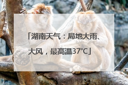 湖南天气：局地大雨、大风，最高温37℃