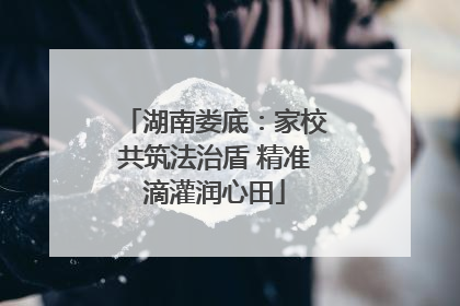 湖南娄底：家校共筑法治盾 精准滴灌润心田