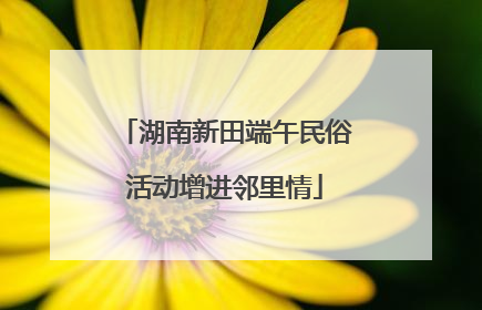 湖南新田端午民俗活动增进邻里情