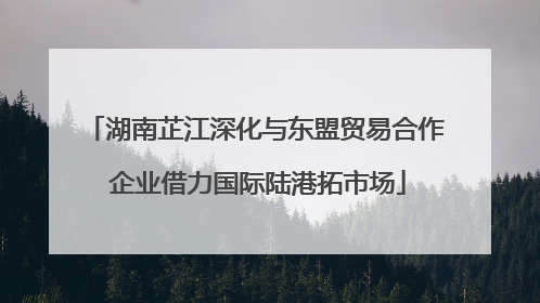 湖南芷江深化与东盟贸易合作 企业借力国际陆港拓市场