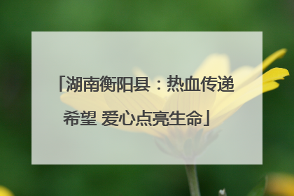 湖南衡阳县：热血传递希望 爱心点亮生命