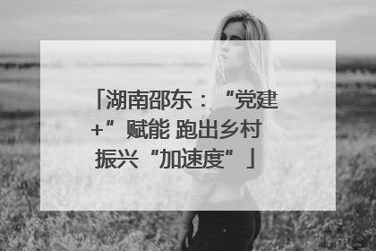 湖南邵东：“党建+”赋能 跑出乡村振兴“加速度”
