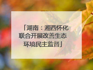 湖南：湘西怀化联合开展改善生态环境民主监督