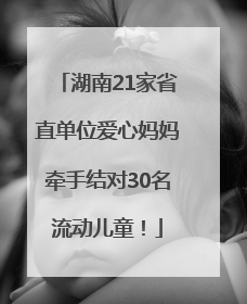 湖南21家省直单位爱心妈妈牵手结对30名流动儿童！