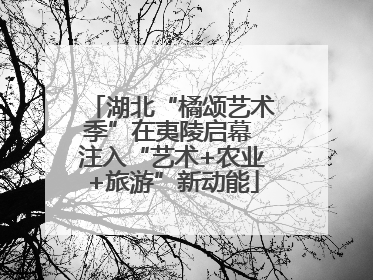 湖北“橘颂艺术季”在夷陵启幕 注入“艺术+农业+旅游”新动能