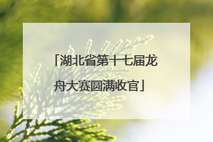 湖北省第十七届龙舟大赛圆满收官
