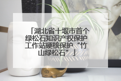 湖北省十堰市首个绿松石知识产权保护工作站硬核保护“竹山绿松石”