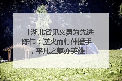 湖北省见义勇为先进陈伟：逆火而行伸援手，平凡之躯亦英雄