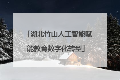 湖北竹山人工智能赋能教育数字化转型