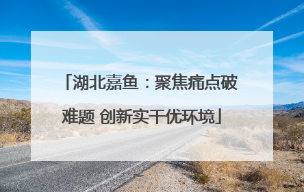湖北嘉鱼：聚焦痛点破难题 创新实干优环境