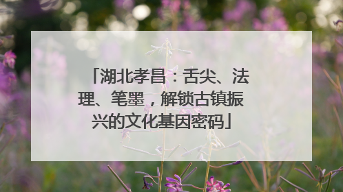 湖北孝昌：舌尖、法理、笔墨，解锁古镇振兴的文化基因密码