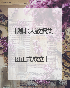 湖北大数据集团正式成立