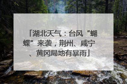 湖北天气：台风“蝴蝶”来袭，荆州、咸宁、黄冈局地有暴雨