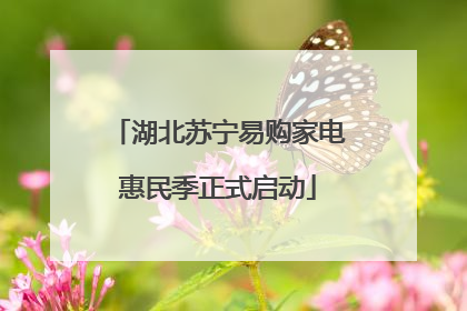 湖北苏宁易购家电惠民季正式启动