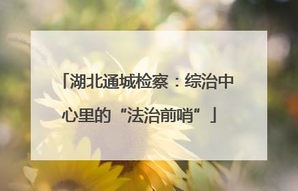 湖北通城检察：综治中心里的“法治前哨”