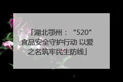 湖北鄂州：“520”食品安全守护行动 以爱之名筑牢民生防线
