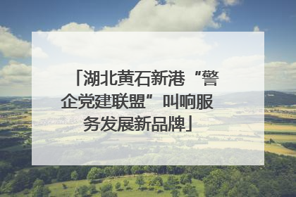 湖北黄石新港“警企党建联盟”叫响服务发展新品牌