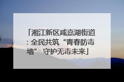 湘江新区咸嘉湖街道：全民共筑“青春防毒墙” 守护无毒未来