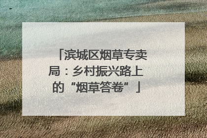 滨城区烟草专卖局：乡村振兴路上的“烟草答卷”