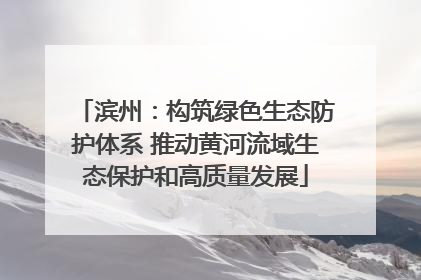 滨州：构筑绿色生态防护体系 推动黄河流域生态保护和高质量发展