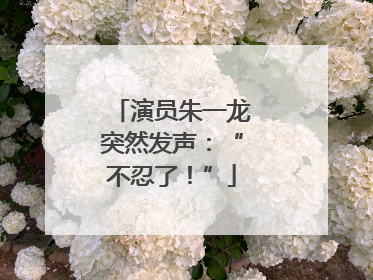 演员朱一龙突然发声：“不忍了！”