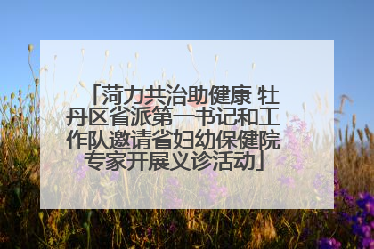菏力共治助健康 牡丹区省派第一书记和工作队邀请省妇幼保健院专家开展义诊活动