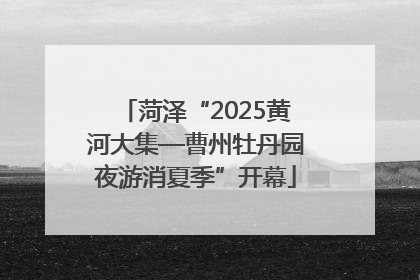 菏泽“2025黄河大集—曹州牡丹园夜游消夏季”开幕