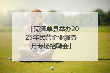 菏泽单县举办2025年民营企业服务月专场招聘会