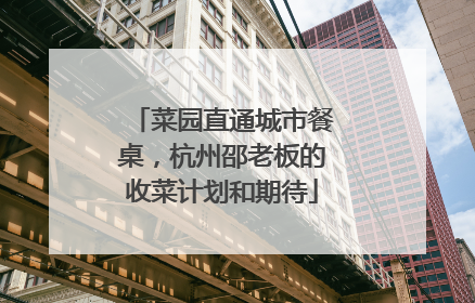 菜园直通城市餐桌，杭州邵老板的收菜计划和期待