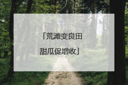 荒滩变良田 甜瓜促增收
