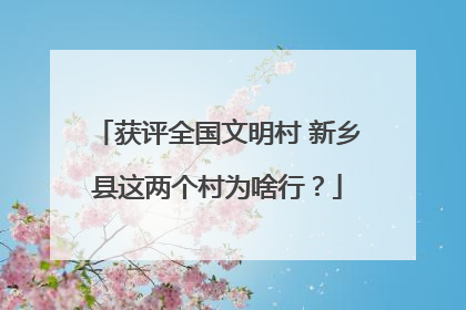 获评全国文明村 新乡县这两个村为啥行？
