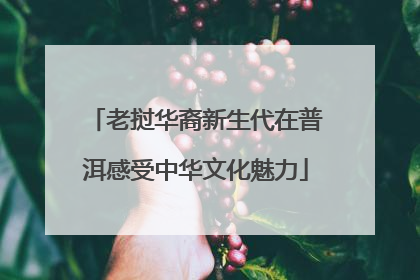 老挝华裔新生代在普洱感受中华文化魅力