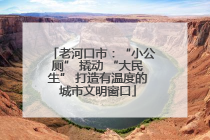 老河口市：“小公厕” 撬动 “大民生” 打造有温度的城市文明窗口