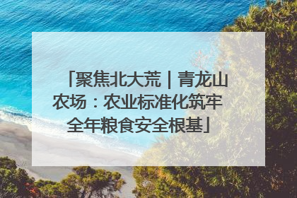 聚焦北大荒｜青龙山农场：农业标准化筑牢全年粮食安全根基