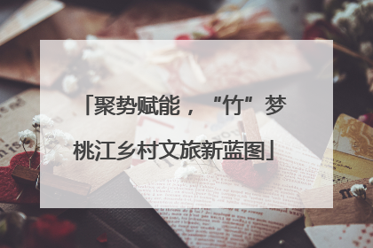 聚势赋能，“竹”梦桃江乡村文旅新蓝图