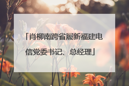 肖柳南跨省履新福建电信党委书记、总经理