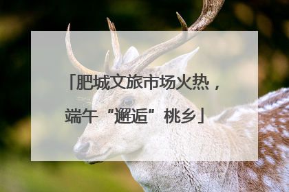 肥城文旅市场火热，端午“邂逅”桃乡