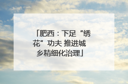 肥西：下足“绣花”功夫 推进城乡精细化治理