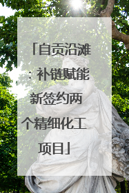自贡沿滩：补链赋能 新签约两个精细化工项目