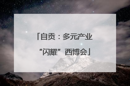 自贡：多元产业“闪耀”西博会