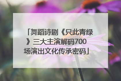 舞蹈诗剧《只此青绿》三大主演解码700场演出文化传承密码